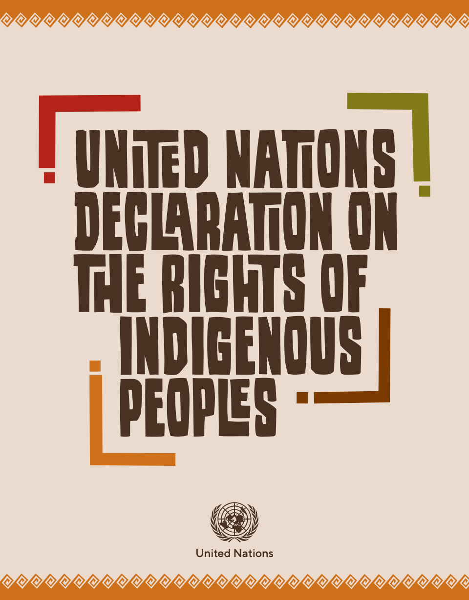 Capture d’écran de la Déclaration des Nations Unies sur les droits des peuples autochtones.
